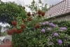 Rendite-/Anlage Immobilie in einem Seniorenpflegeheim in Lilienthal - Garten Impressionen
