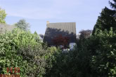 Blick vom Deich auf das Haus - Freistehendes Einfamilienhaus in ruhiger Lage mit großzügigen Garten